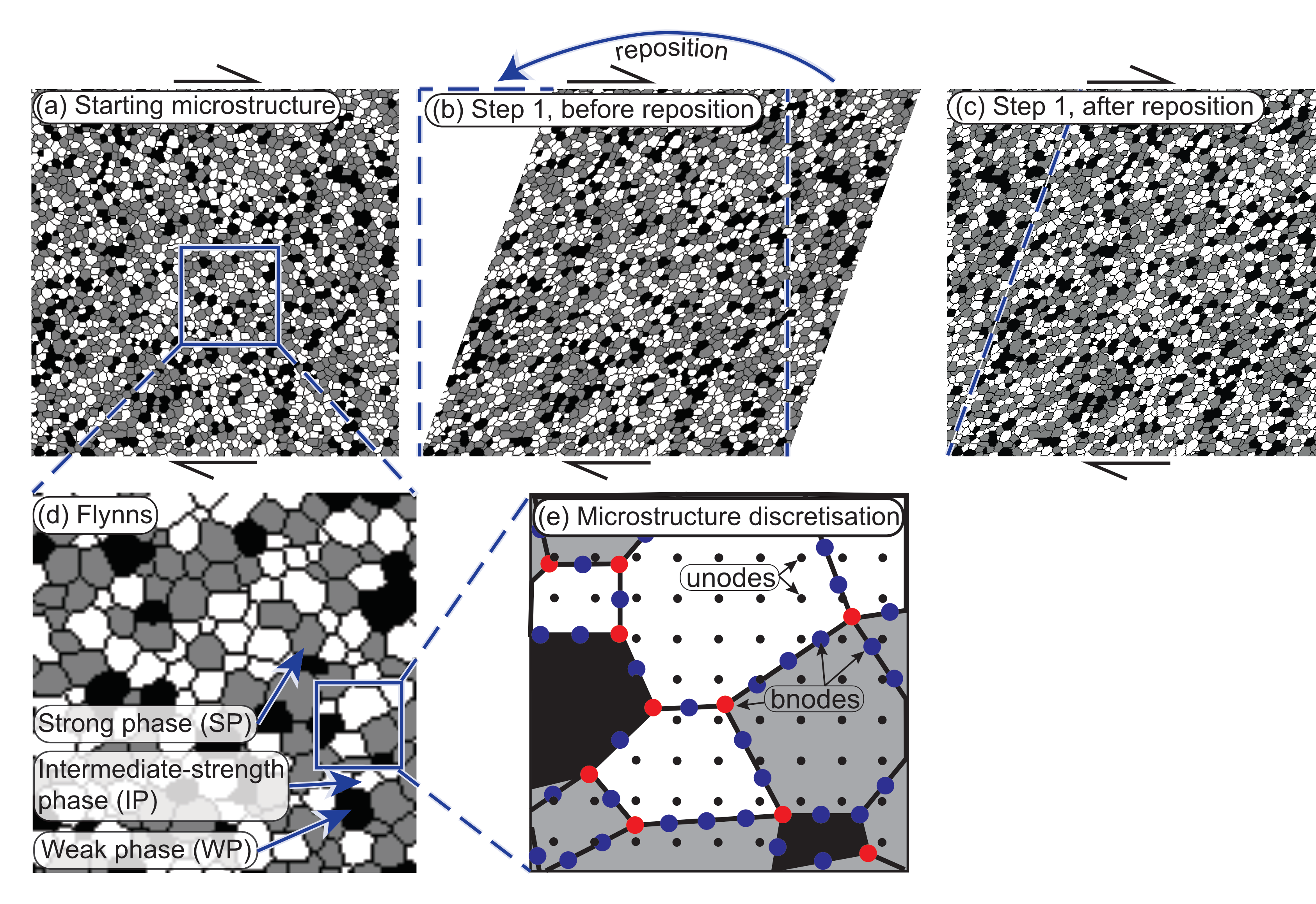 Basic process of microstructure simulation. (a) The starting microstructure consists of three grain types that undergo one increment of γ = 0.02 dextral shear. (b) The microstructure is deformed with wrapping boundaries. (c) The microstructure is repositioned back to a square before the next increment of strain. (d) Zoom in of (a) showing the three flynn (grain) types: strong phase (SP), intermediate-strength phase (IP), and weak phase (WP). (e) Zoom-in of (d) showing that flynn grain boundaries are defined by double (blue) and triple (red) bnodes joined by straight lines. An additional grid of unconnected nodes (unodes, black) is overlain on flynns and stores state variables and flynn properties.